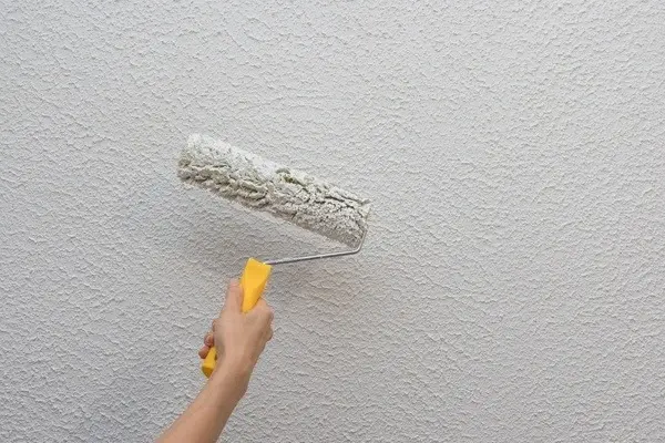 Reliable house painter